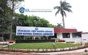 NCL Research Share Price Target 2025 NCL Research Share Price Target 2025