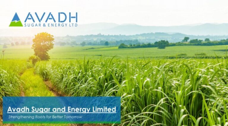 Avadh Sugar Share Price Target 2024, 2025, 2026